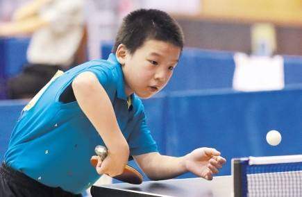 而力不足 而力不足